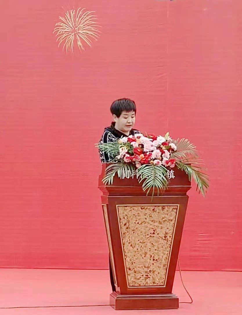 连云港同科汇丰小镇占地,连云港同科汇丰小镇最新合作