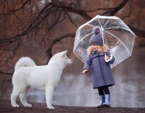 学日语培训班学校排名前十,上海日语培训学校排名