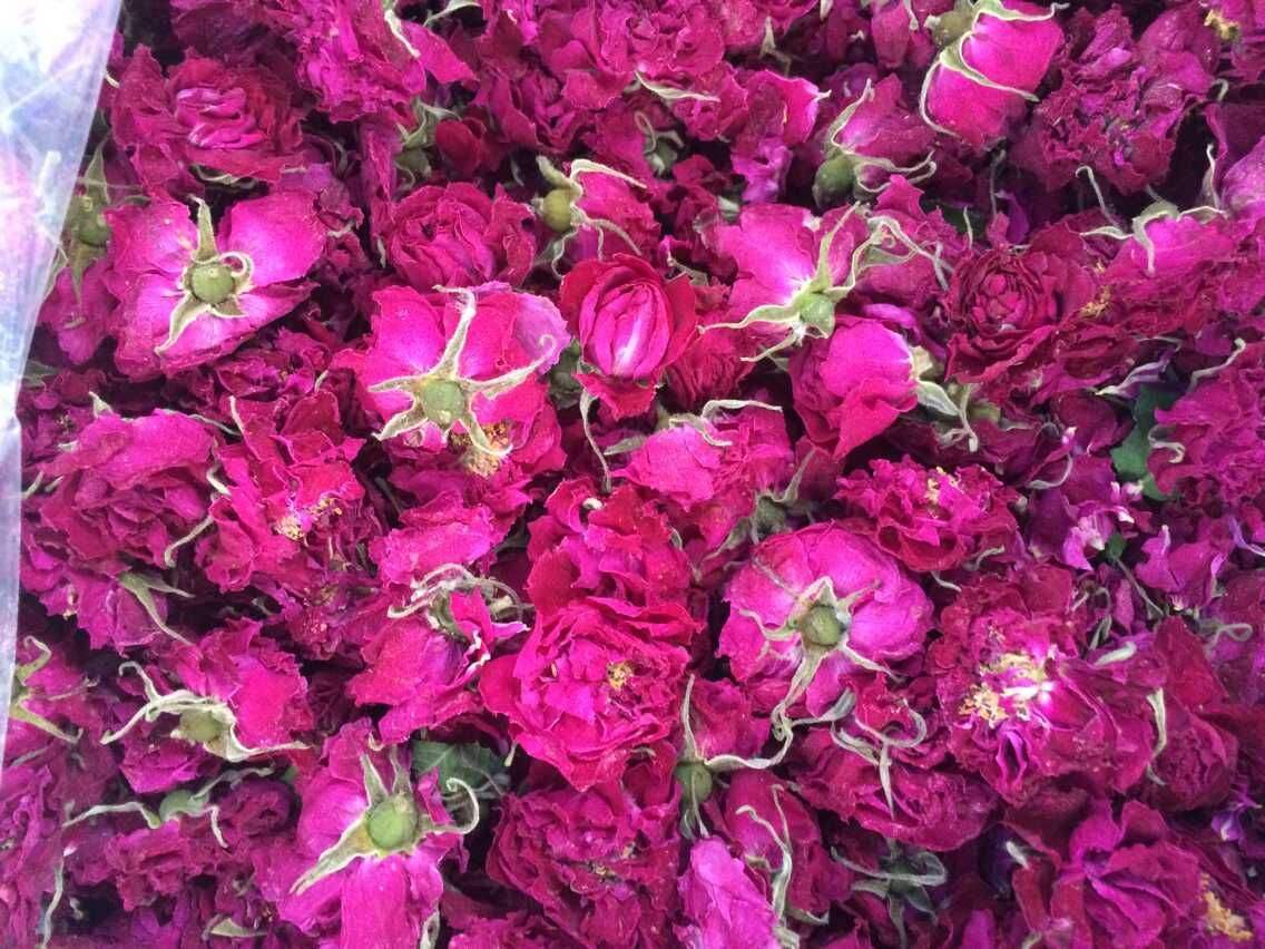 平阴玫瑰甲天下简介,平阴玫瑰和玫瑰花的区别