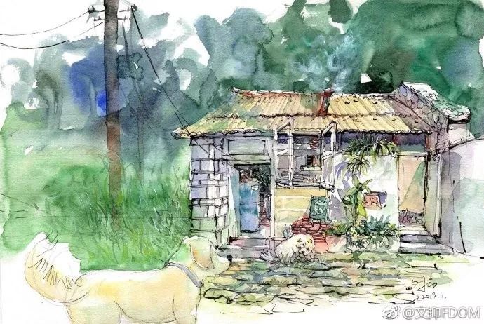 淡彩钢笔画技法,钢笔淡彩画基本知识