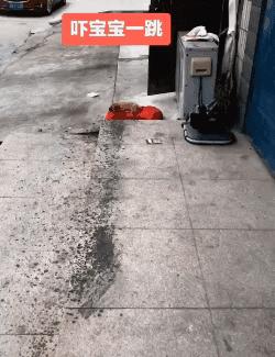 真鳄鱼皮鞋搞笑,鳄鱼皮鞋搞笑视频