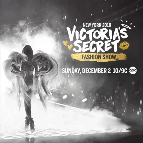 维密超模2017最贵内衣,维密超模200万美元内衣