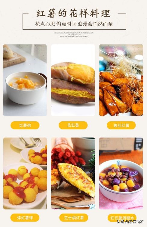 天目山小香薯软糯香甜无筋无丝,正宗临安天目山小香薯5斤25个左右