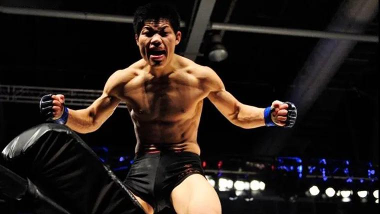 李景亮在ufc的散打动作,综合格斗ufc李景亮全场