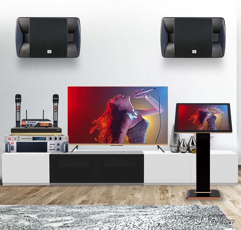 家庭卡拉okktv,家庭卡拉ok音响什么品牌好