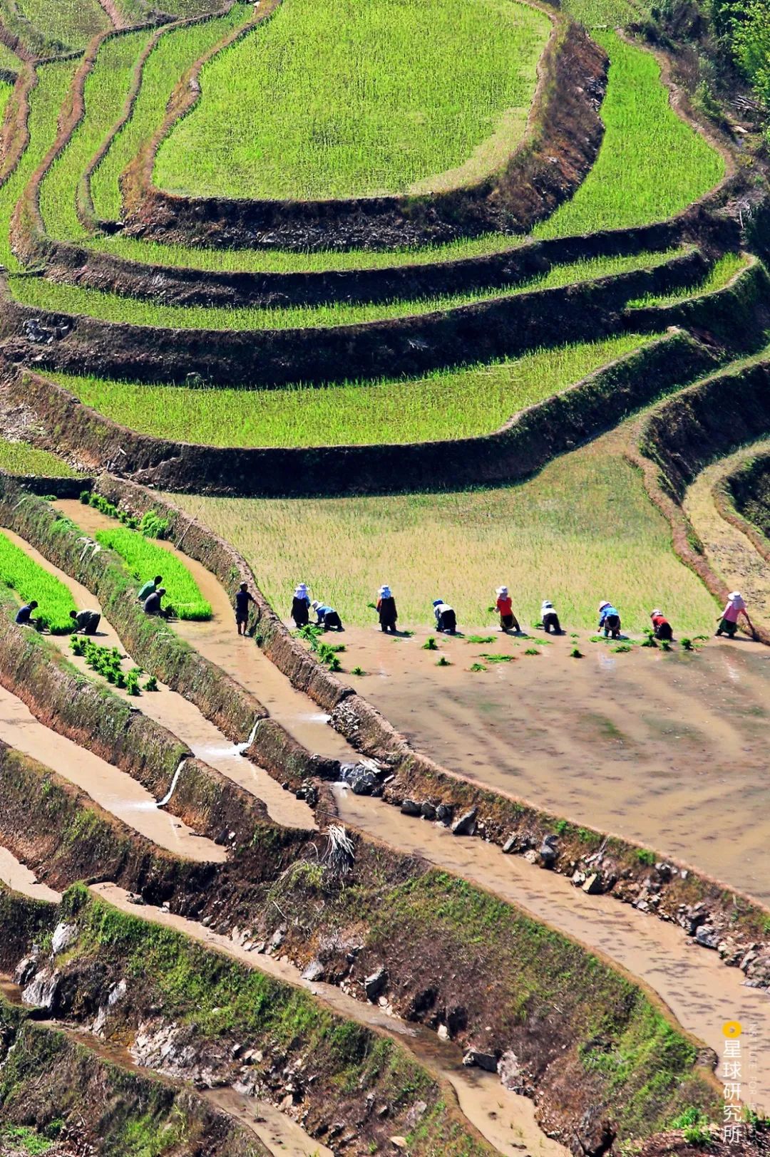 云南红河有什么特色,云南红河乡的风景