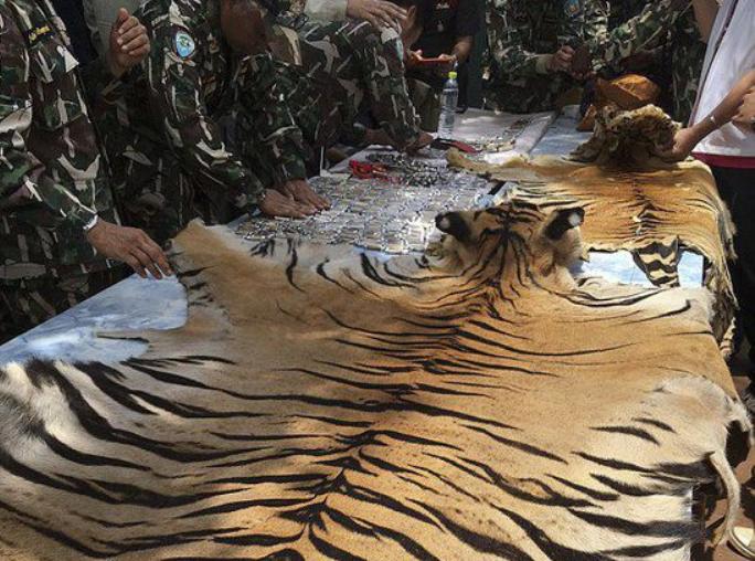 泰国的和尚真的很善良吗,泰国和尚赚钱