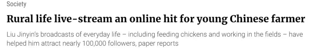 农民养猪为何难以致富,养猪致富案例视频