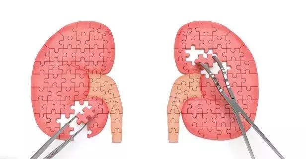 小红书糖丸,小红书最火抗糖推荐