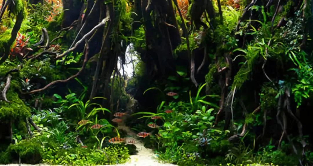 造景如何看起来有层次,十个最好看的造景