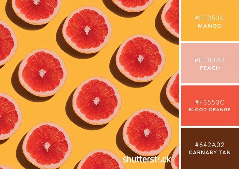 色彩搭配个人形象设计,色彩搭配都是业主亲自选择