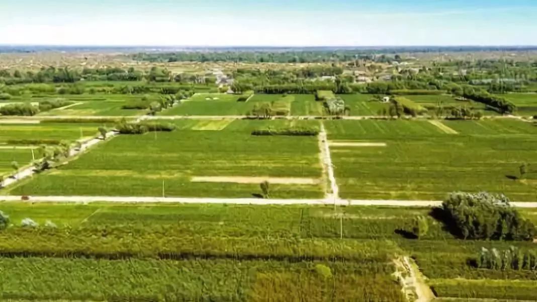 农村集体经济产权改革,农村集体产权制度改革农民宅基地