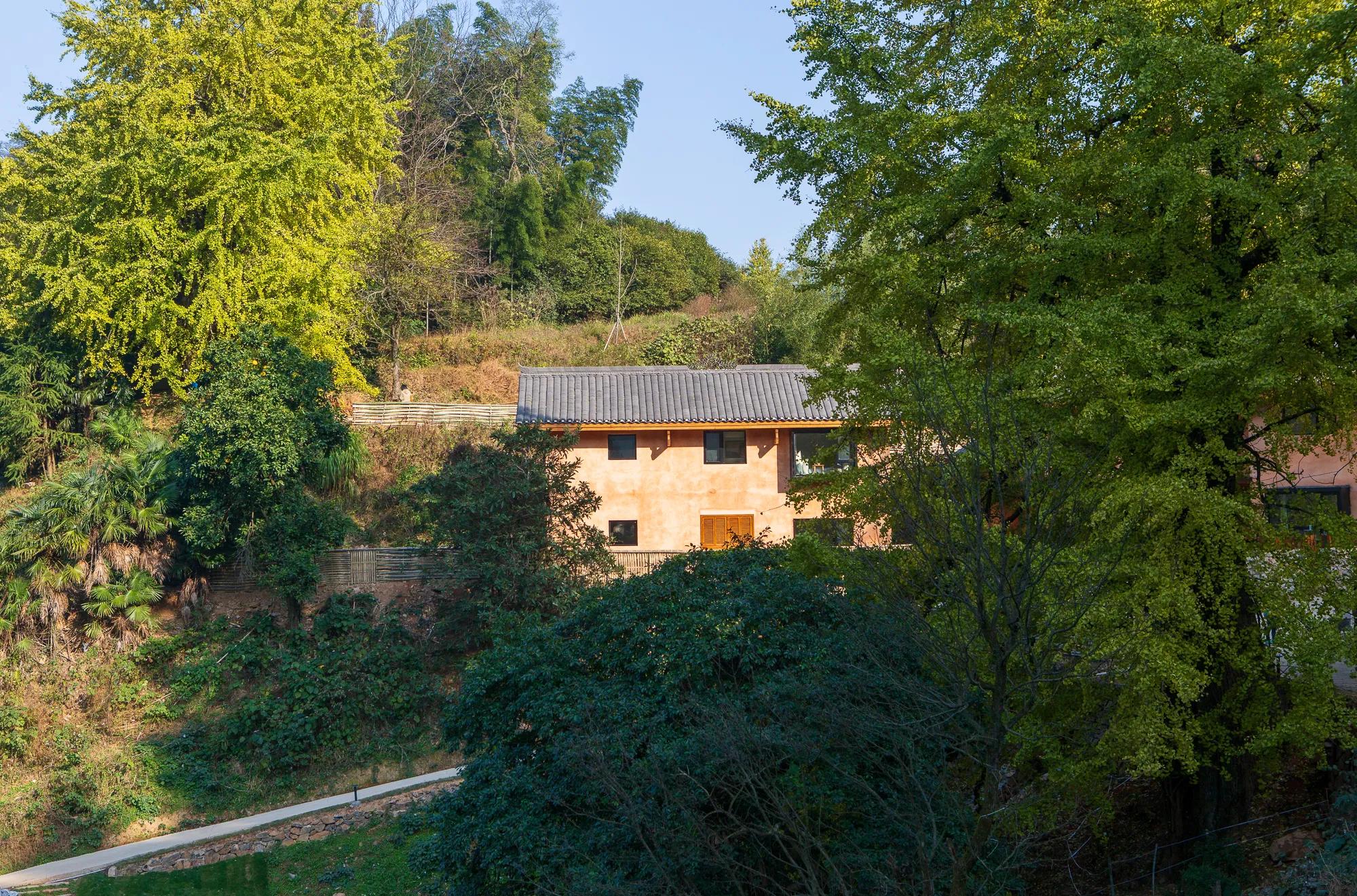 高岭古村银杏,高岭乡高岭村