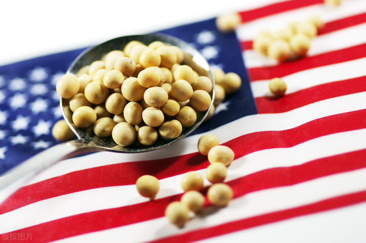 中国购买美国大豆最新,3月进口美国大豆