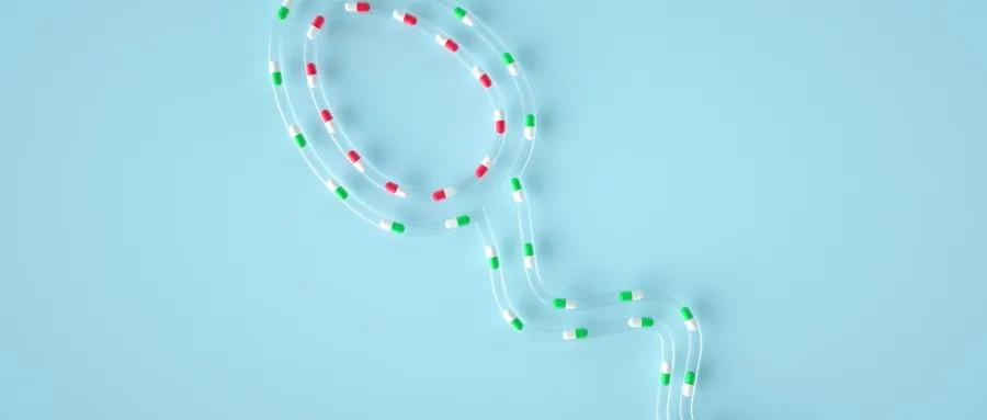 精子质量下降怎么办?日常预防是关键