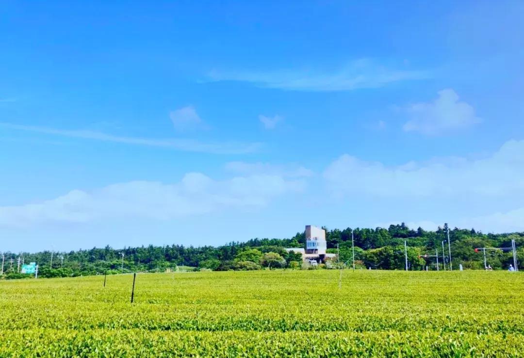 济州岛自由行详细攻略,济州岛自由行超实用攻略