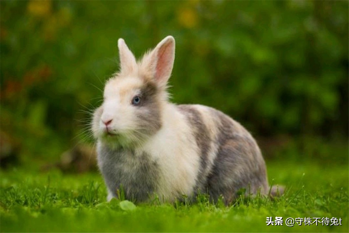 ​10个冷知识：为什么法拉利上，只有副驾驶一面化妆镜