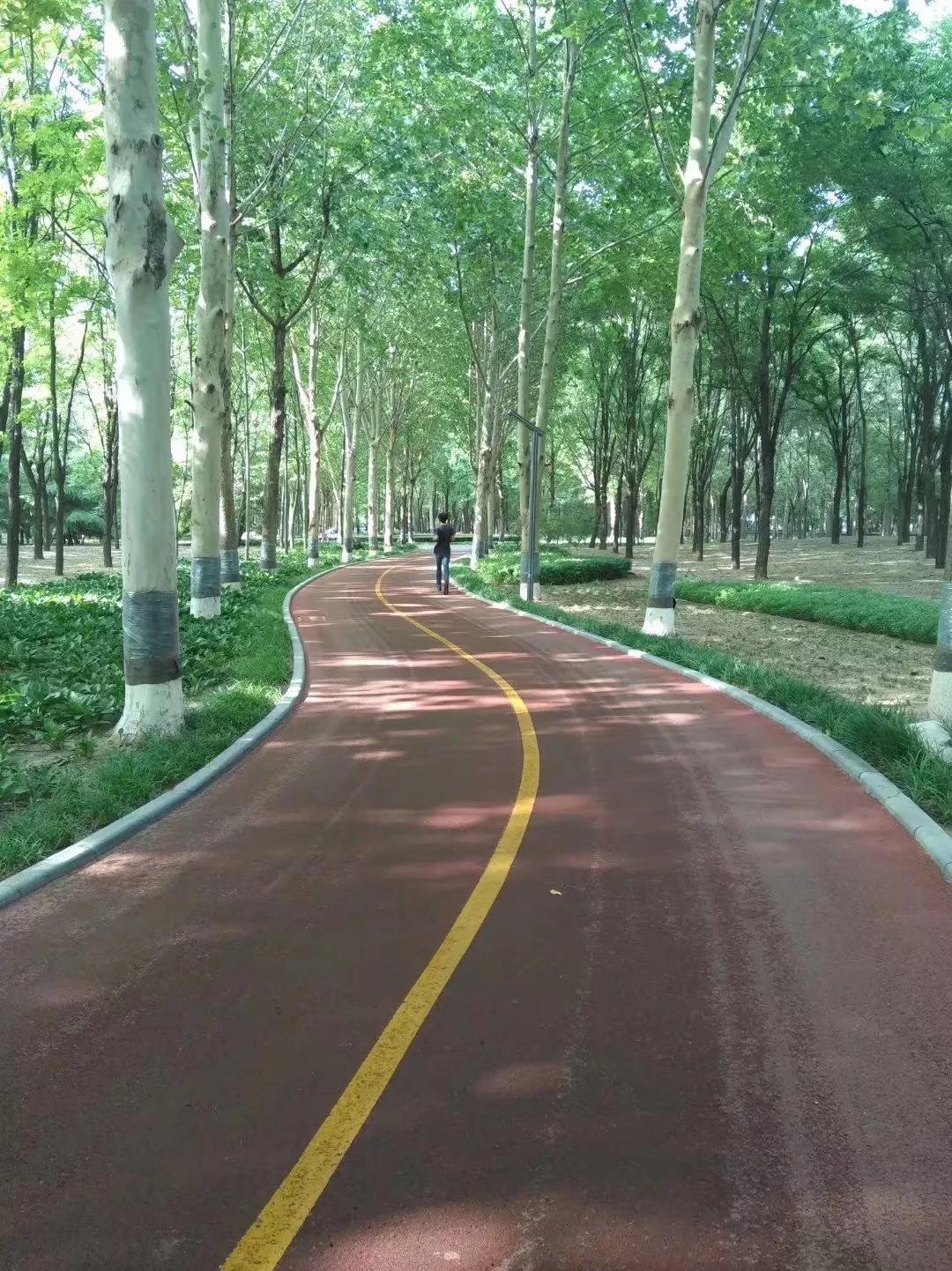 目前最好的治疗前列腺增生的中药,前列腺增生小腹坠胀吃什么中成药