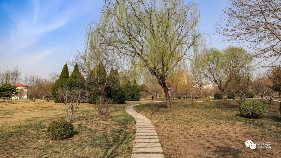 天津最近新开放的公园,天津东疆亲海公园2022年开放吗