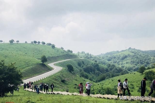 国产薰衣草精油品牌,疆颂熏衣草纯天然精油