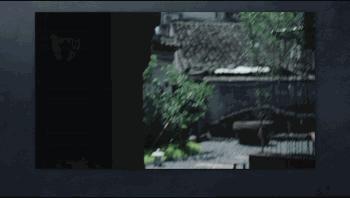 「精选」摄影师张千里：可调ND减光镜到底靠不靠谱？