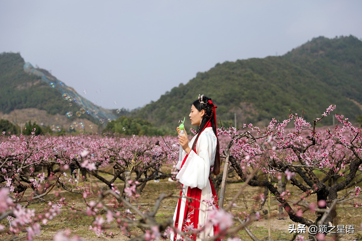 天下第一桃花源风景区,天下第一桃园图片