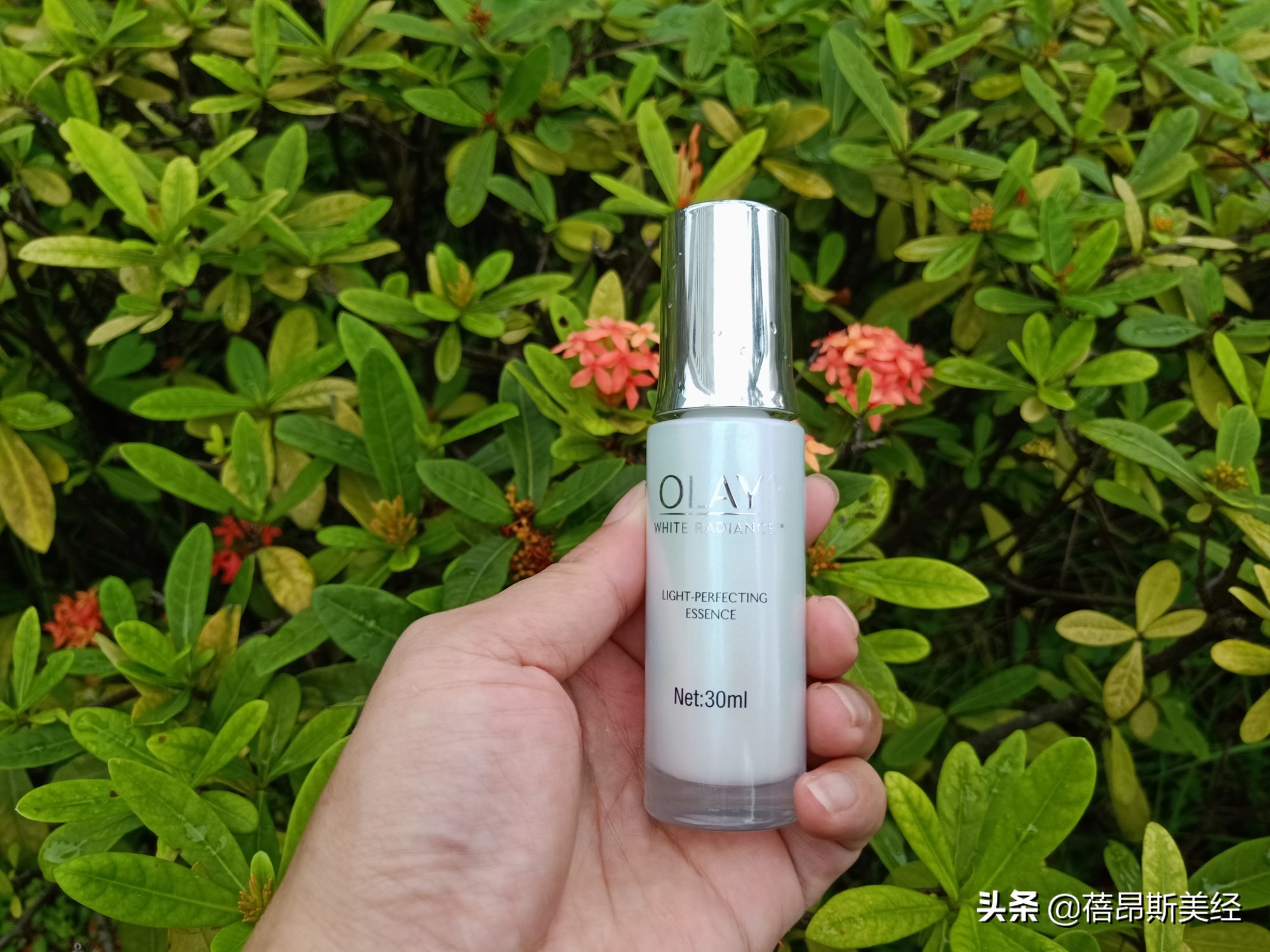 红腰子和小黑瓶小绿瓶哪个好,小白瓶小绿瓶原液