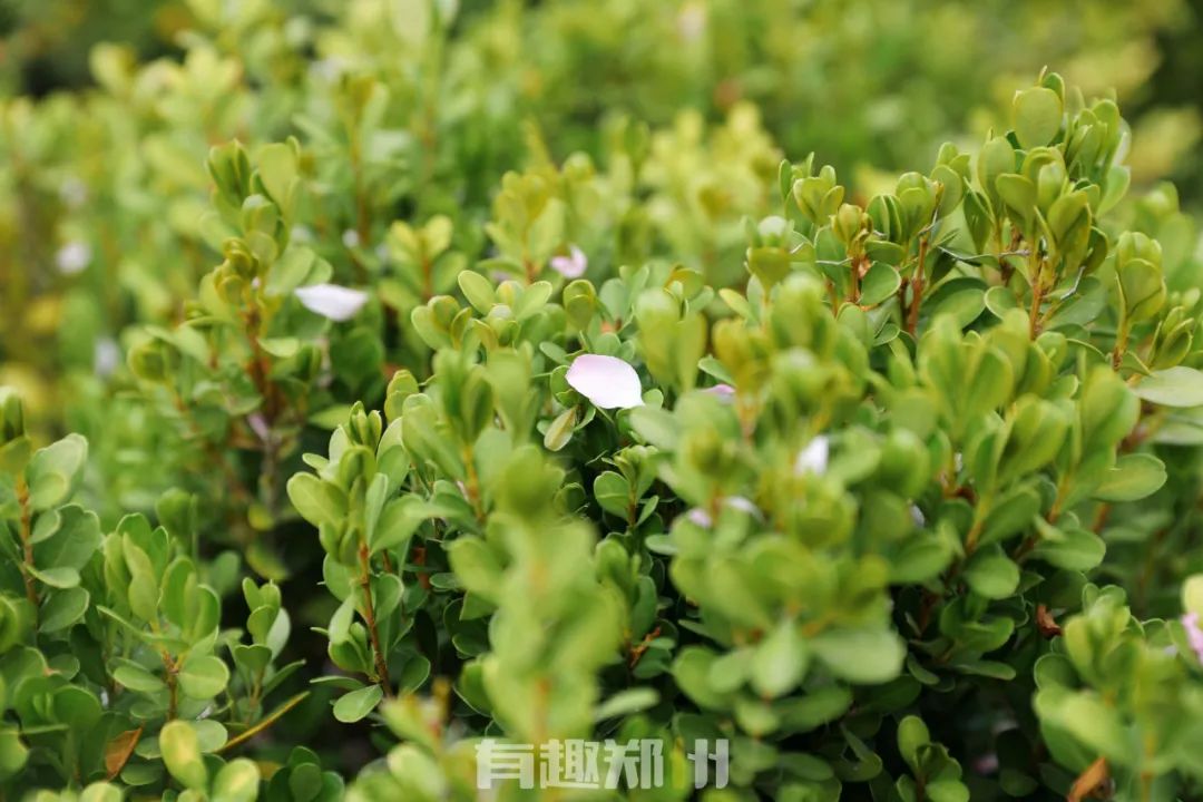 郑州周边人少清静有山有水的地方,郑州人少的公园适合野营