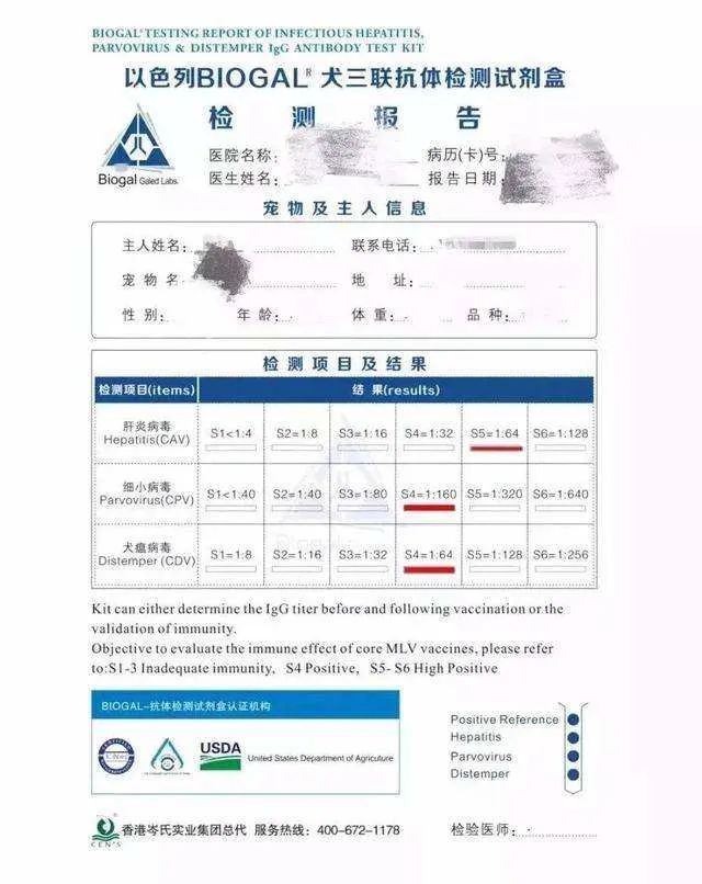 狗狗免疫失败还要再打疫苗吗,狗狗打疫苗为什么免疫失败