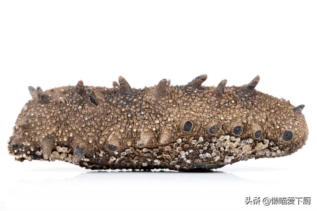 网上卖的海参真假,市面的海参是真是假