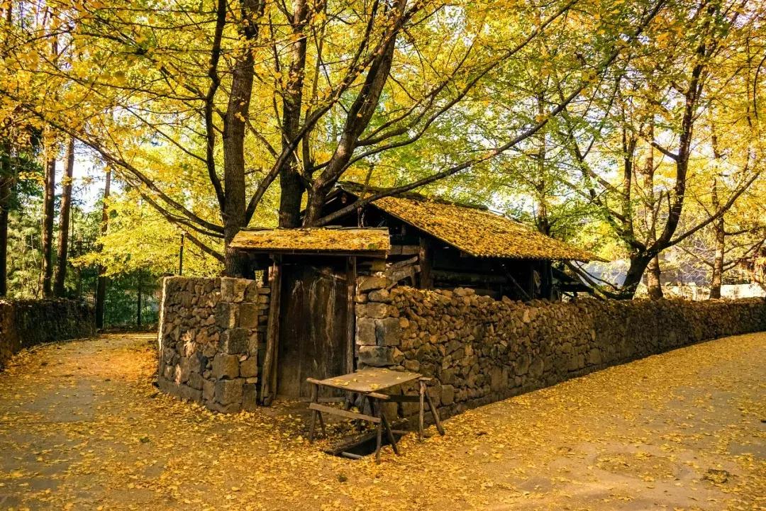 2019必去的旅行地,8月最新旅行地推荐