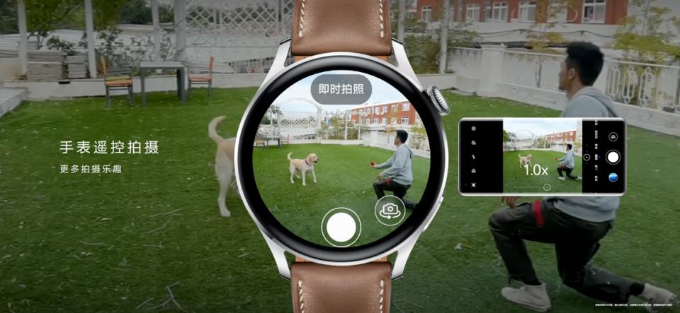 nova9和nova9哪个更值得买,nova9简配版和标配版区别