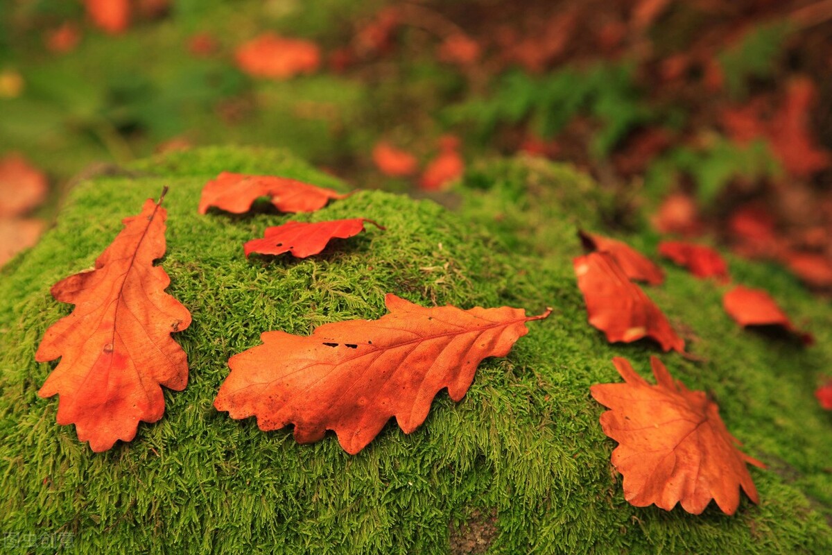 皮肤瘙痒挠破皮,春季皮肤痒挠破皮怎么办
