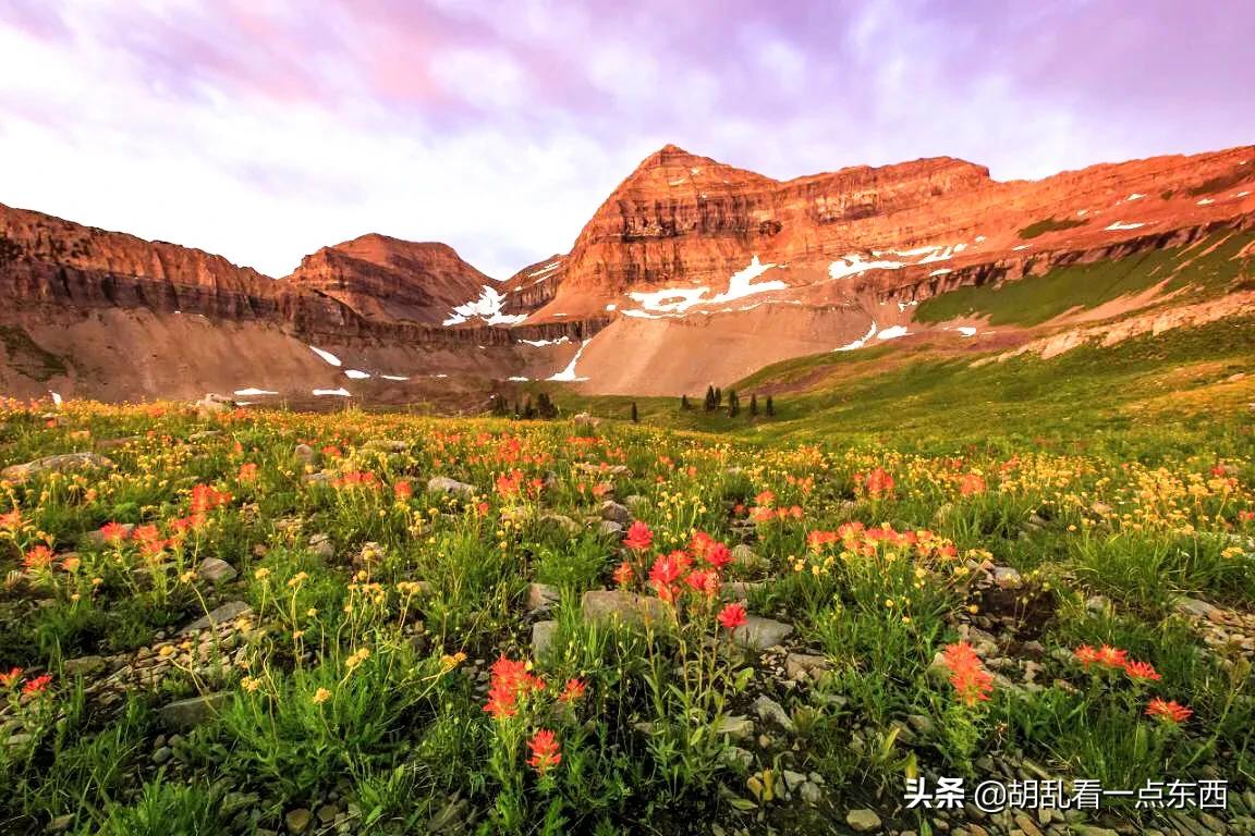 探访恐龙遗迹追寻恐龙,美国一公园发现恐龙世界恐龙足迹
