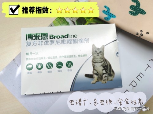 大宠爱驱虫效果怎么样,猫驱虫拜耳和大宠爱哪个效果好