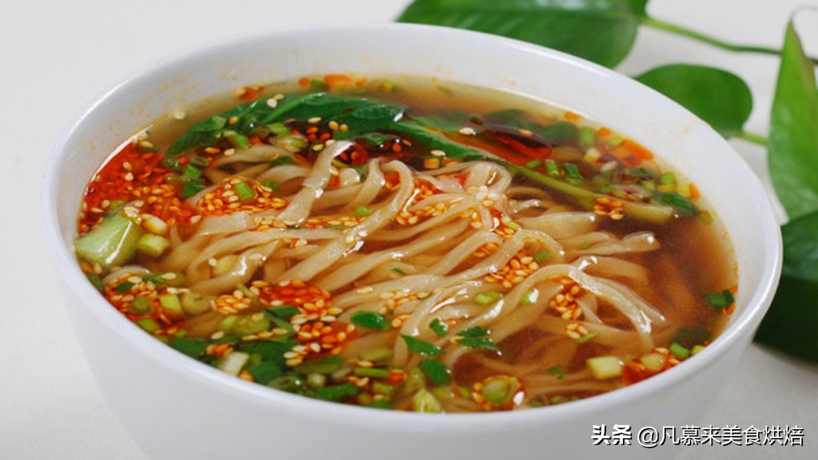 中国面条500种在线阅读,中国面条种类最多的省