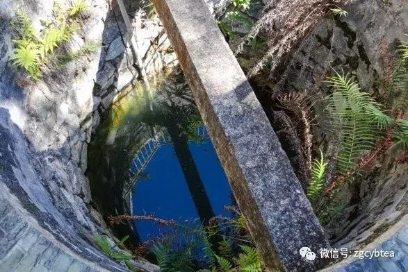 福海茶厂哪款熟茶最好喝,福海茶厂经典标杆茶