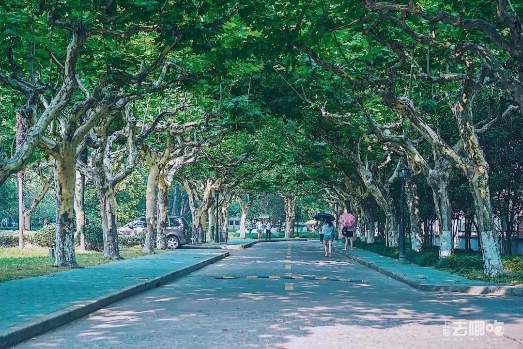 上海宋城免费景点,上海一日游攻略必去景点免费