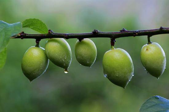防汛抢险应准备的物资有,防汛常识及抢险技术应用