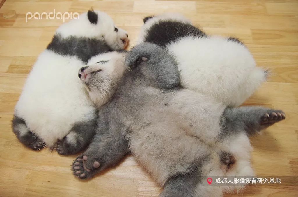 冬天就是要拥抱,冬季拥有温暖的抱枕