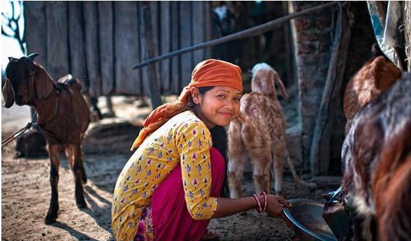 尼泊尔一妻多夫部落婚礼,尼泊尔的一妻多夫制