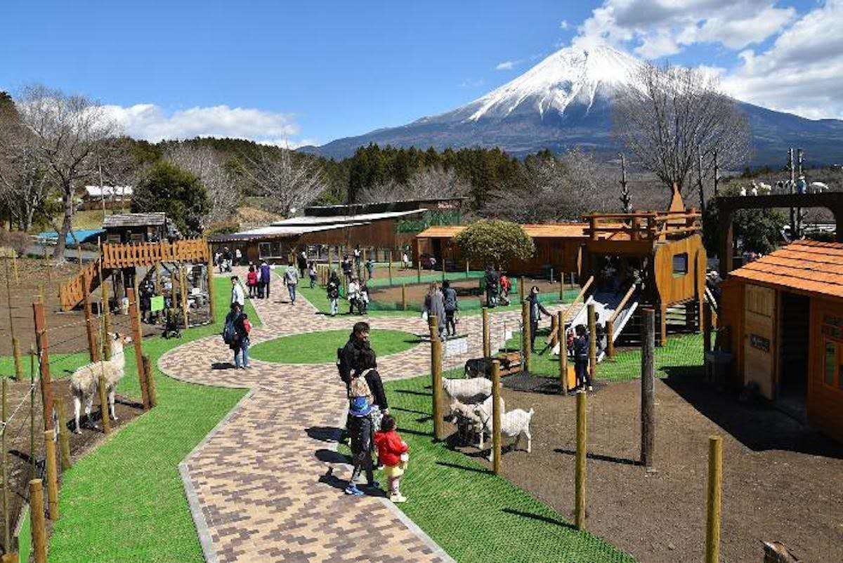 沿“线”旅行 | 富士山下遛娃好去处，好吃好玩儿还不贵