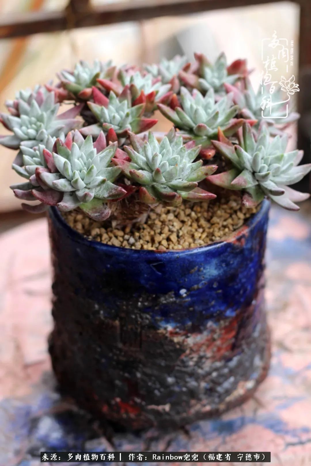 岁月无波澜余生不悲欢是啥意思,愿你岁月无波澜敬我余生无悲欢