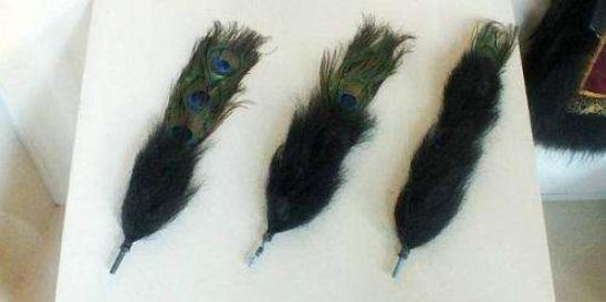 顶戴花翎对应的品级和官位,古代官职顶戴花翎大全