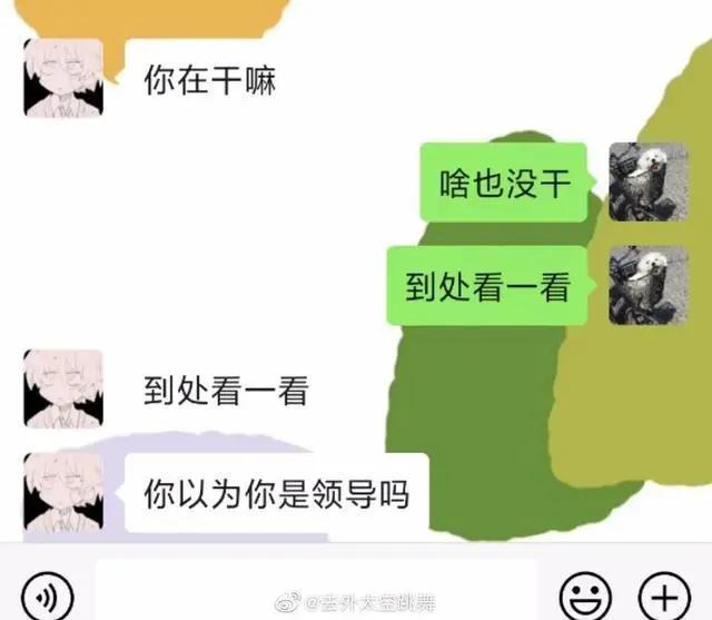 比钢铁直男更可怕的是直女,哪有什么所谓的钢铁直男直女