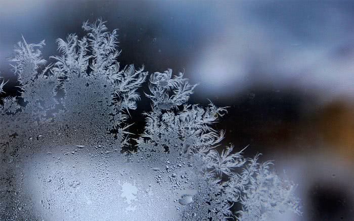 悲情小丑电影,悲情秦腔丑角大全