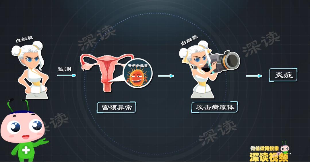 宫颈炎的危害及注意事项,宫颈炎的危害和治疗方法