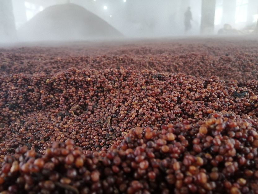 什么是下沙和糙沙,什么是矩阵