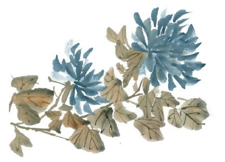 国画深秋篱菊风景写意,写意蓝菊花怎么画步骤图