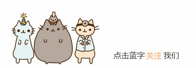 猫咪不会用滚珠怎么教,猫咪不会埋屎只会刨猫砂盆